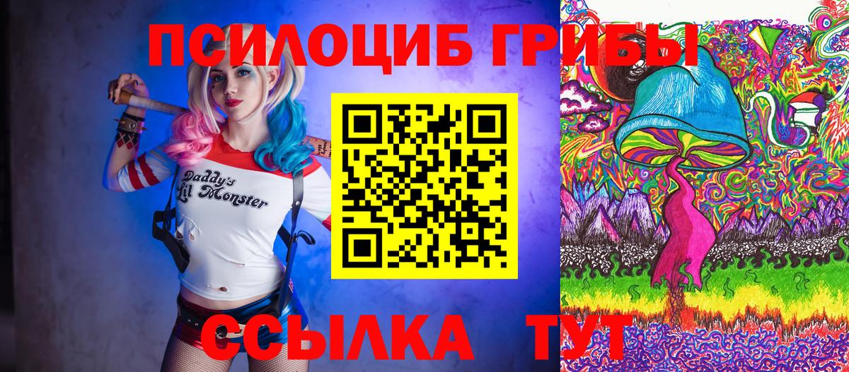 Курчатов  Галлюциногенные грибы мухоморы  Вход с VPN 